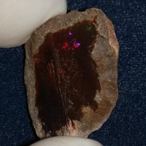 23.75 Carat Ethiopian Chocolate Shewa Rough Opal #5210806033