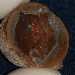 30.7 Carat Ethiopian Chocolate Shewa Rough Opal #5210806036