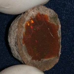 23.3 Carat Ethiopian Chocolate Shewa Rough Opal #5210806037