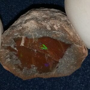 32.75 Carat Ethiopian Chocolate Shewa Rough Opal #5210806038
