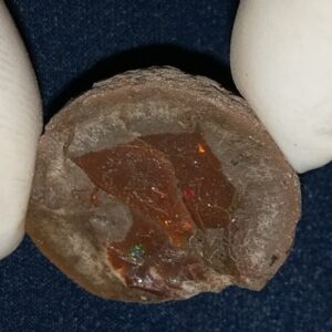 38.8 Carat Ethiopian Chocolate Shewa Rough Opal #5210806039