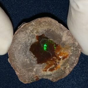 36.65 Carat Ethiopian Chocolate Shewa Rough Opal #5210806040