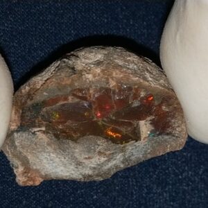 30.8 Carat Ethiopian Chocolate Shewa Rough Opal #5210806041