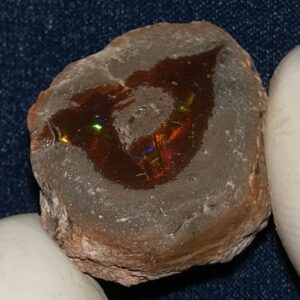 26.3 Carat Ethiopian Chocolate Shewa Rough Opal #5210806046