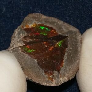23.1 Carat Ethiopian Chocolate Shewa Rough Opal #5210806047
