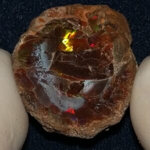 36.1 Carat Ethiopian Chocolate Shewa Rough Opal #5210806049