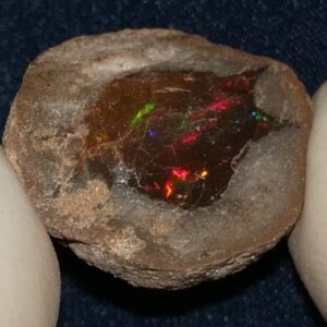 22.3 Carat Ethiopian Chocolate Shewa Rough Opal #5210806050