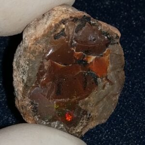 26.35 Carat Ethiopian Chocolate Shewa Rough Opal #5220806001
