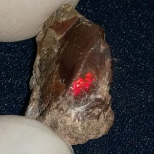 14.8 Carat Ethiopian Chocolate Shewa Rough Opal #5220806003