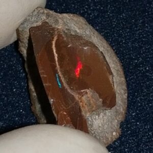 21.65 Carat Ethiopian Chocolate Shewa Rough Opal #5220806005