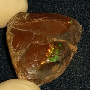 32.4 Carat Ethiopian Chocolate Shewa Rough Opal #5220806011