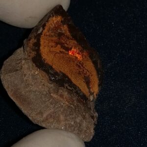 54.7 Carat Ethiopian Chocolate Shewa Rough Opal #5220806014