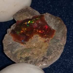 25.9 Carat Ethiopian Chocolate Shewa Rough Opal #5220806016