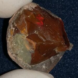 39 Carat Ethiopian Chocolate Shewa Rough Opal #5220806019
