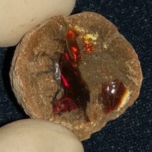 24.2 Carat Ethiopian Chocolate Shewa Rough Opal #5220806020