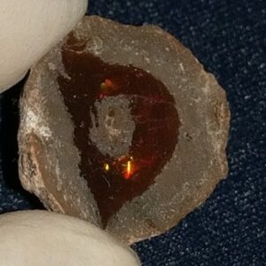 14.2 Carat Ethiopian Chocolate Shewa Rough Opal #5220806022