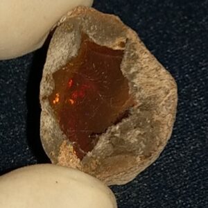 35.3 Carat Ethiopian Chocolate Shewa Rough Opal #5220806023