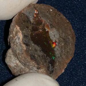 38.4 Carat Ethiopian Chocolate Shewa Rough Opal #5220806024