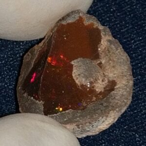 12 Carat Ethiopian Chocolate Shewa Rough Opal #5220806025