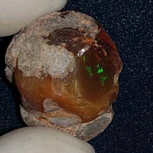 27.1 Carat Ethiopian Chocolate Shewa Rough Opal #5220806028