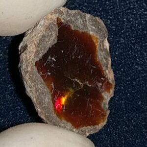 14.55 Carat Ethiopian Chocolate Shewa Rough Opal #5220806029