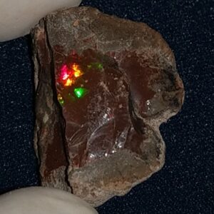 25.25 Carat Ethiopian Chocolate Shewa Rough Opal #5220806030
