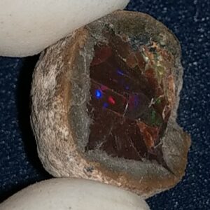 22.85 Carat Ethiopian Chocolate Shewa Rough Opal #5220806031
