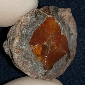 27.85 Carat Ethiopian Chocolate Shewa Rough Opal #5220806035