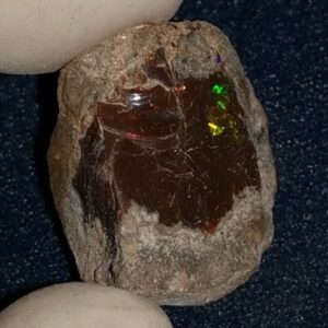 23.05 Carat Ethiopian Chocolate Shewa Rough Opal #5220806036
