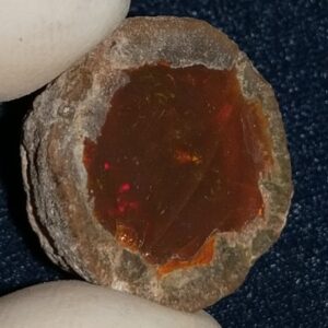 25.25 Carat Ethiopian Chocolate Shewa Rough Opal #5220806041