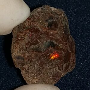 31.5 Carat Ethiopian Chocolate Shewa Rough Opal #5220806042