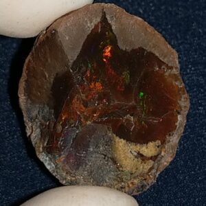 71.8 Carat Ethiopian Chocolate Shewa Rough Opal #5220806043