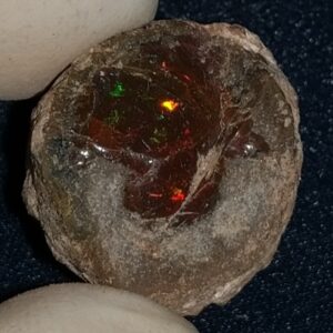 20.45 Carat Ethiopian Chocolate Shewa Rough Opal #5220806044