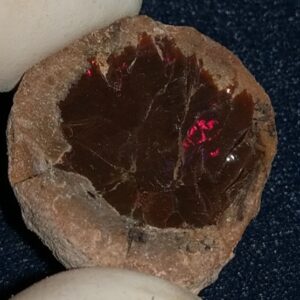 31.2 Carat Ethiopian Chocolate Shewa Rough Opal #5220806046