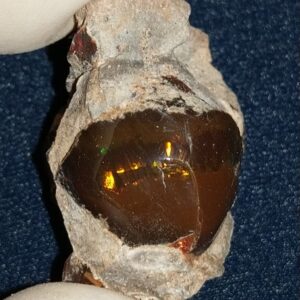 47.9 Carat Ethiopian Chocolate Shewa Rough Opal #5220806048