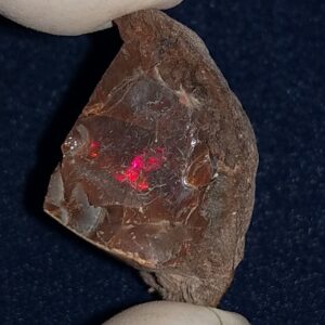 43.6 Carat Ethiopian Chocolate Shewa Rough Opal #5220806049