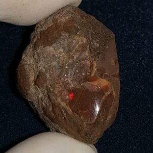 49 Carat Ethiopian Chocolate Shewa Rough Opal #5230810001