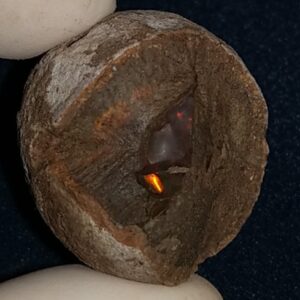 132.65 Carat Ethiopian Chocolate Shewa Rough Opal #5230810003