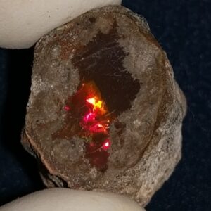 53.8 Carat Ethiopian Chocolate Shewa Rough Opal #5230810004