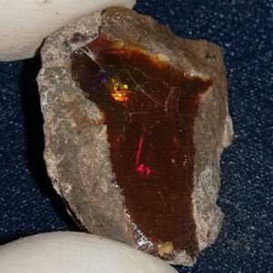 12.7 Carat Ethiopian Chocolate Shewa Rough Opal #5230810005