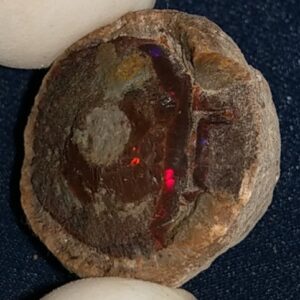 54 Carat Ethiopian Chocolate Shewa Rough Opal #5230810007