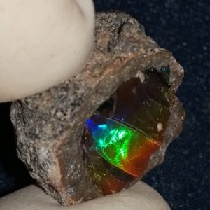 13.3 Carat Ethiopian Chocolate Shewa Rough Opal #5230810009