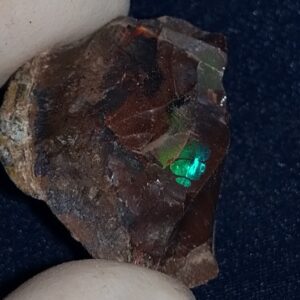 25.75 Carat Ethiopian Chocolate Shewa Rough Opal #5230810011