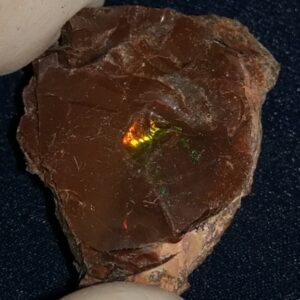 36.7 Carat Ethiopian Chocolate Shewa Rough Opal #5230810012