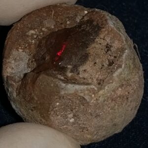 45.15 Carat Ethiopian Chocolate Shewa Rough Opal #5230810013