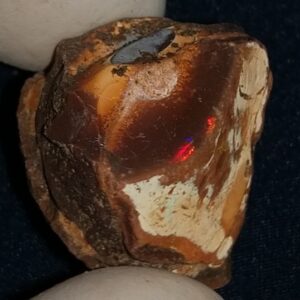 49.05 Carat Ethiopian Chocolate Shewa Rough Opal #5230810022