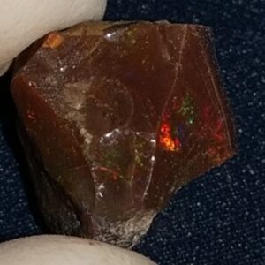 11.3 Carat Ethiopian Chocolate Shewa Rough Opal #5230810023