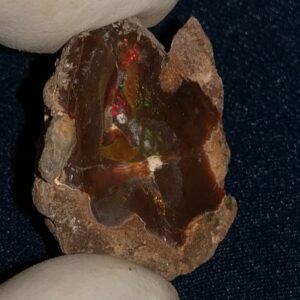 25.9 Carat Ethiopian Chocolate Shewa Rough Opal #5230810024
