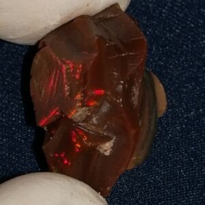 20.15 Carat Ethiopian Chocolate Shewa Rough Opal #5230810026