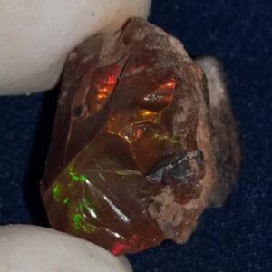 16.35 Carat Ethiopian Chocolate Shewa Rough Opal #5230810027